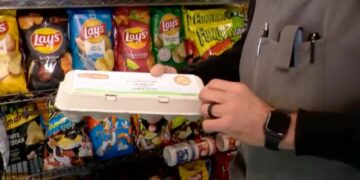 Tientallen mensen ziek na besmette eieren: gezondheidswaarschuwing zorgt voor grote onrust