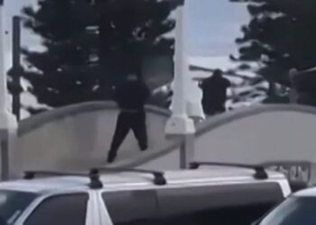 Wat deze hond bleef doen na de schietpartij laat niemand onberoerd