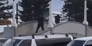 Wat deze hond bleef doen na de schietpartij laat niemand onberoerd