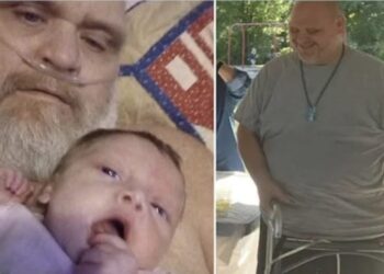 Dodelijke aanval door pitbulls: politie treft vreselijk tafereel aan