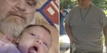 Dodelijke aanval door pitbulls: politie treft vreselijk tafereel aan