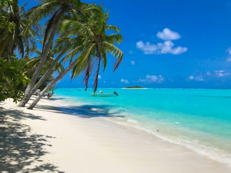 Dankzij deze vakantiedagen-hack heb je in 2026 met 25 dagen verlof maar liefst 55 dagen vrij