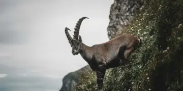 Is dit jouw sterrenbeeld? Dan wordt februari geen goede maand