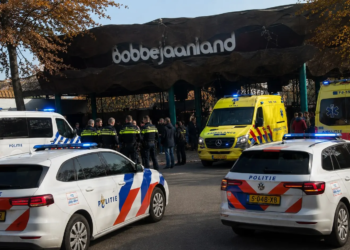 Grote paniek bij Bobbejaanland politie en ambulance ter plaatse