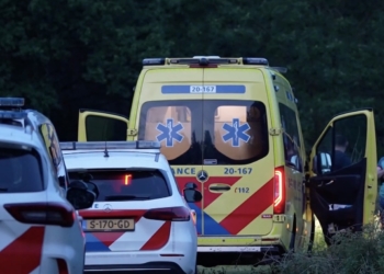 Kinderen doen angstaanjagende ontdekking tijdens spelen in Brabants bos