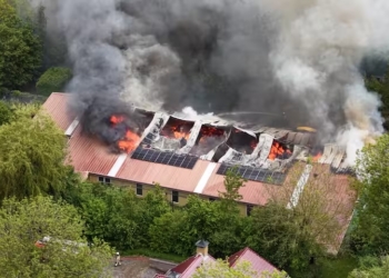 Drama in Nederlandse dierentuin: verschillende dieren overleven brand niet