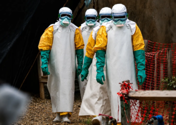 WHO slaat groot alarm: Ebola ook opgedoken in Europa