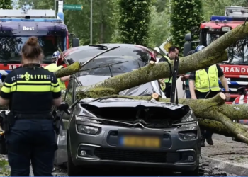 Bekende politicus (45) overleden bij schokkend incident op de weg