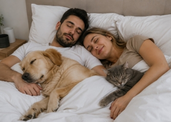 Huisdier in bed? Dit onverwachte risico houdt veel mensen niet voor mogelijk