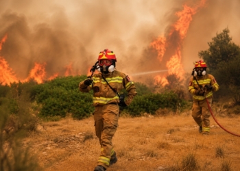 Massale evacuaties bij Gardameer vanwege hevige bosbranden