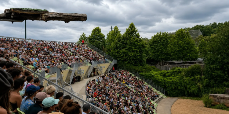 Verschrikkelijk drama op de tribune bij dierenpark