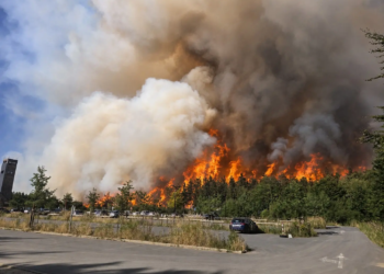 Verwoestende brand in de Hoge Venen breidt zich snel uit: bluswerk bemoeilijkt door omstandigheden