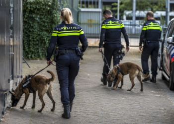 Nederlandse speurhonden ingezet in zoektocht naar vermiste Leysner in Suriname