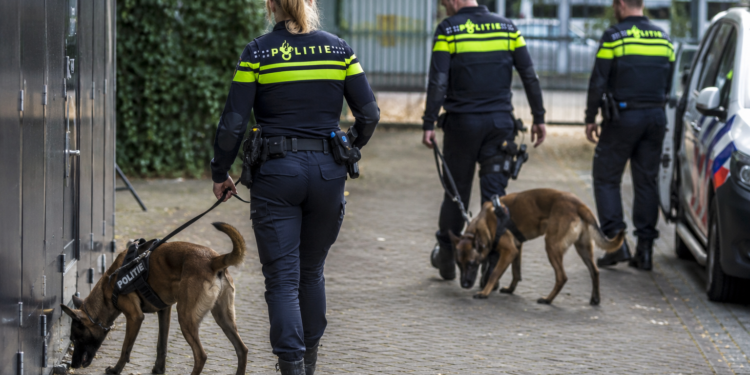 Nederlandse speurhonden ingezet in zoektocht naar vermiste Leysner in Suriname