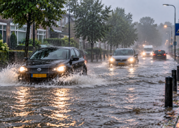 Flinke plensbuien onderweg: vooral deze twee provincies krijgen het zwaa