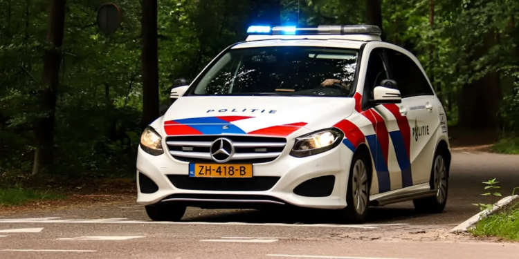 Mysterieuze vondst in Alblasserbos: overleden meisje gevonden en dit blijkt de doodsoorzaak