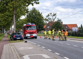 Verschrikkelijk: Jonge moeder (18) overleden bij ernstig verkeersongeval